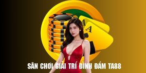 Nhà cái ta88 - Sân chơi vàng trong làng giải trí trực tuyến